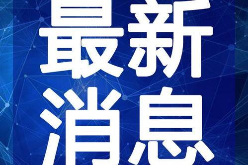 盐津铺子爆料事件视频最新,真相揭露，行业乱象引关注